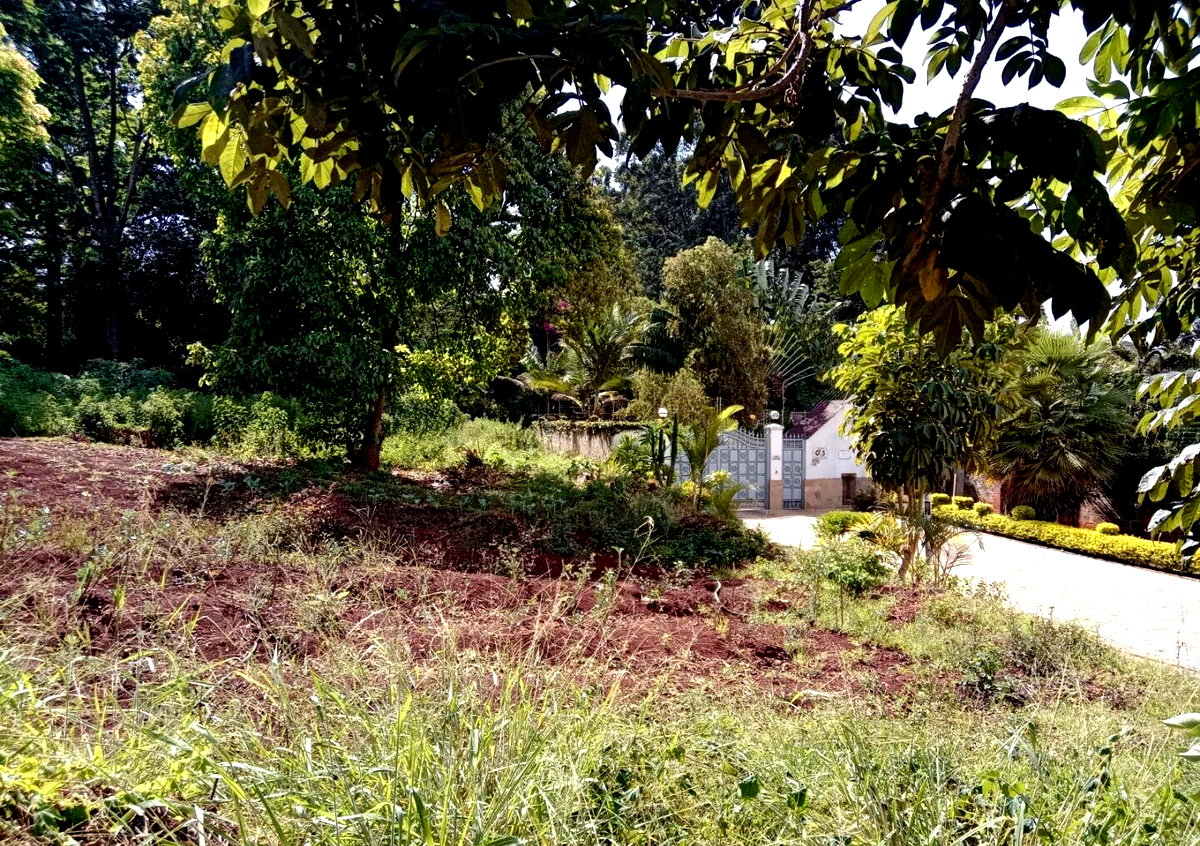 Half Acre Runda Plot at KSh 55M
