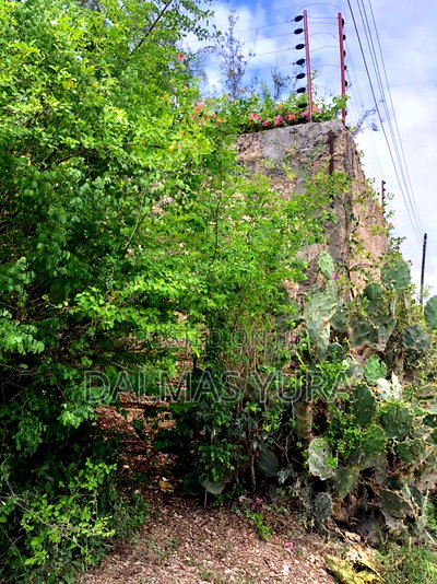 One and a Half Acres in Watamu - Image 2