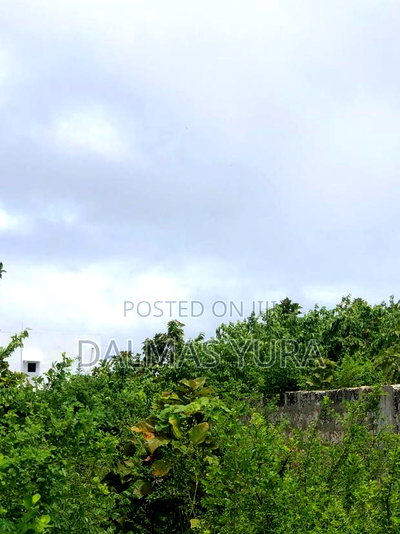 One and a Half Acres in Watamu - Image 4