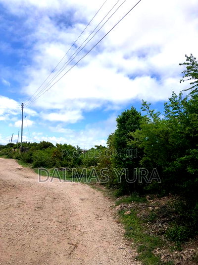 One and a Half Acres in Watamu - Image 5