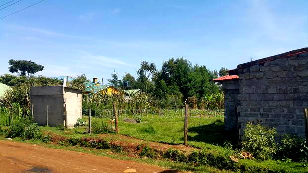 1/4 Plot Kimumu /Betterfarm in Good Location With Title