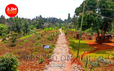 Residential Plots Along Kenyatta Road - Image 2