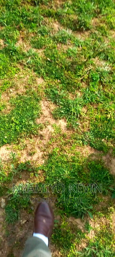 Gem Apuoche Uchiwe Area - Image 1