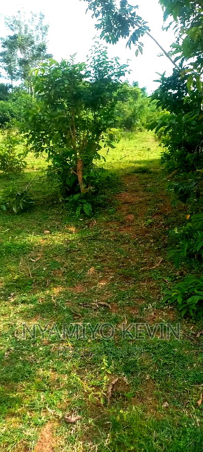 Gem Apuoche Uchiwe Area - Image 3