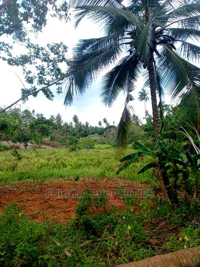 For Sale 6 Acre Agricultural Land Msambweni - Image 4