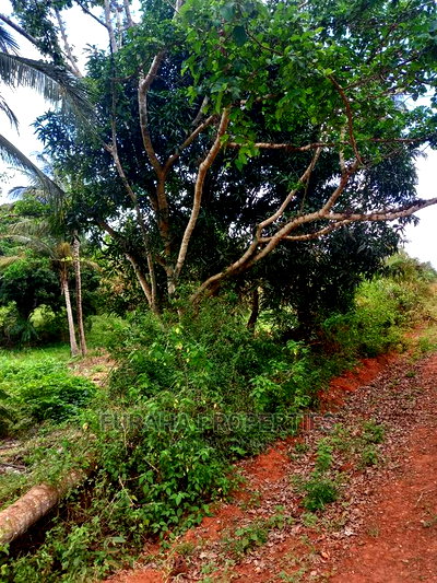 For Sale 6 Acre Agricultural Land Msambweni - Image 3