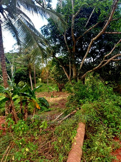 For Sale 6 Acre Agricultural Land Msambweni - Image 1