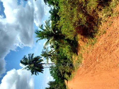 For Sale 6 Acre Agricultural Land Msambweni - Image 7