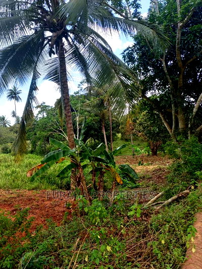 For Sale 6 Acre Agricultural Land Msambweni - Image 2