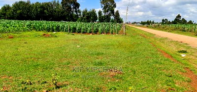 1/4 Plot for Sale in Kiplombe Eldoret - Image 5