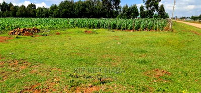 1/4 Plot for Sale in Kiplombe Eldoret - Image 7