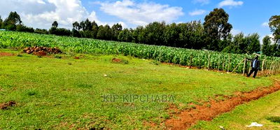 1/4 Plot for Sale in Kiplombe Eldoret - Image 1
