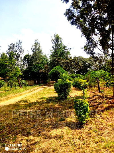 Garden Estate 0.5 Acre , Residential - Image 3