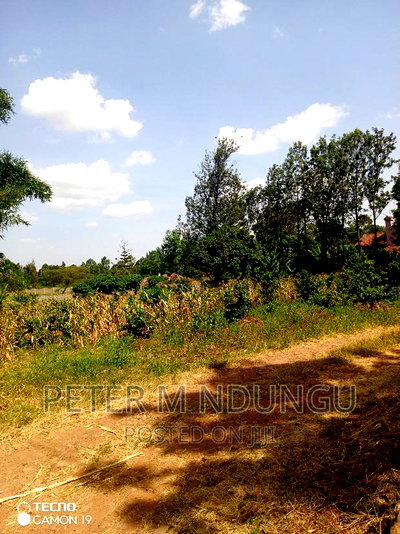 Garden Estate 0.5 Acre , Residential - Image 4