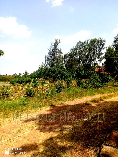 Garden Estate 0.5 Acre , Residential - Image 7