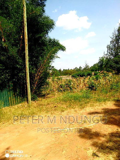 Garden Estate 0.5 Acre , Residential - Image 5