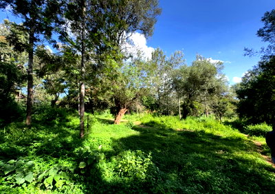 1/2 Acre Luxury Plot in Lake View