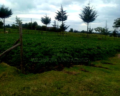 Plot On Sale A Mwendandu Kinangop - Image 1