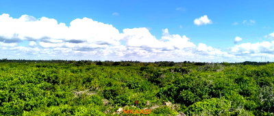 3-Acre Beachfront Land for KSh 34.5M