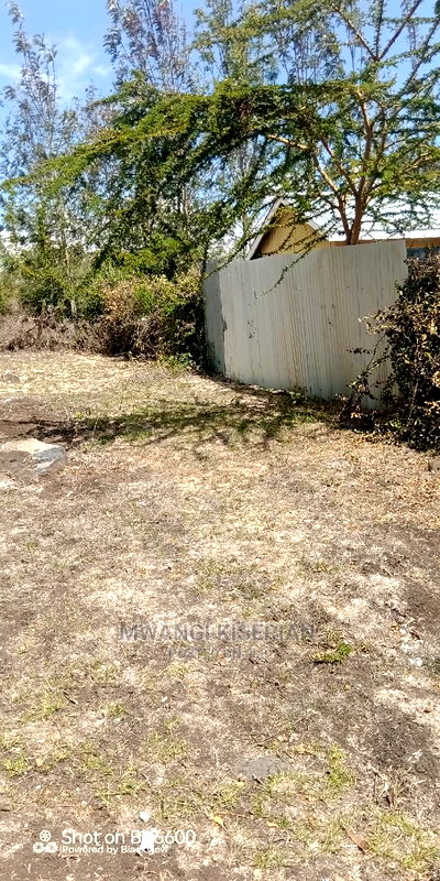 50by100in Kiserian St Patrick's Near Elima School - Image 5