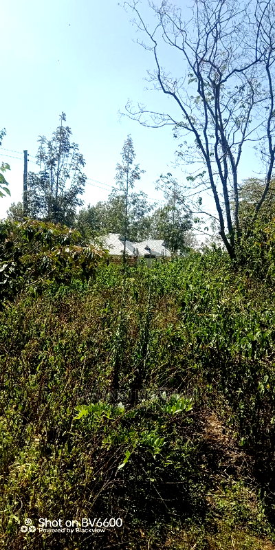 50by100in Kiserian St Patrick's Near Elima School - Image 7