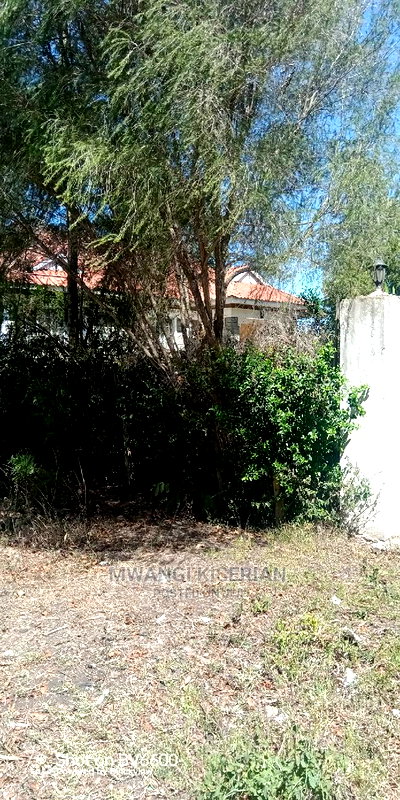 50by100in Kiserian St Patrick's Near Elima School - Image 18