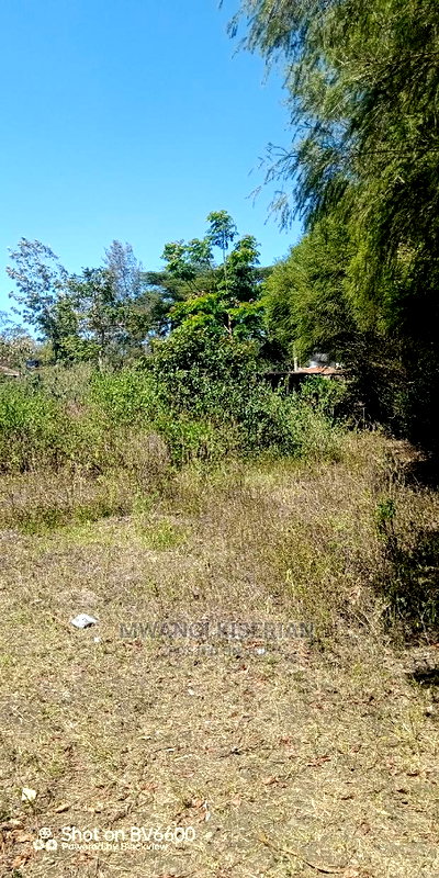 50by100in Kiserian St Patrick's Near Elima School - Image 9