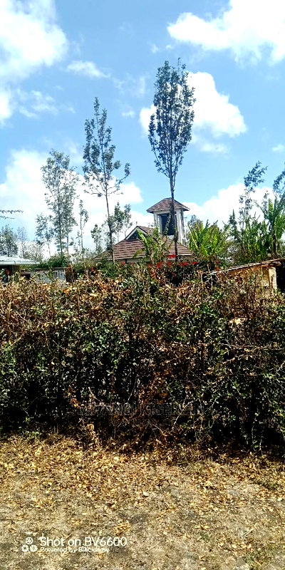 50by100in Kiserian St Patrick's Near Elima School - Image 3