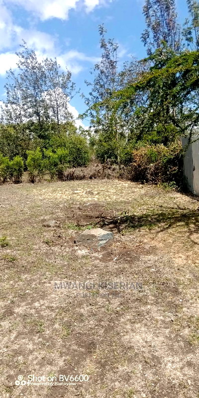 50by100in Kiserian St Patrick's Near Elima School - Image 1