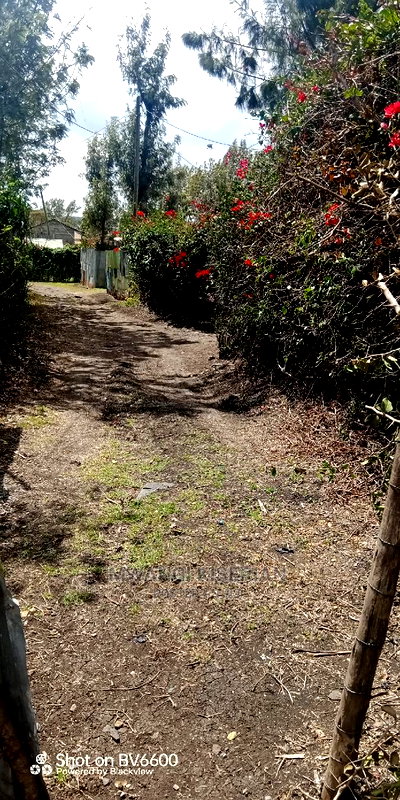 50by100in Kiserian St Patrick's Near Elima School - Image 16