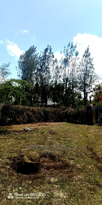 50by100in Kiserian St Patrick's Near Elima School - Image 15