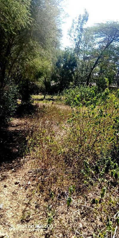 50by100in Kiserian St Patrick's Near Elima School - Image 8