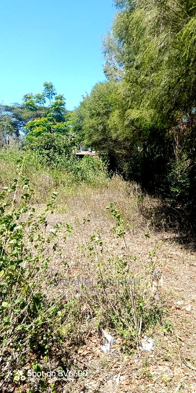 50by100in Kiserian St Patrick's Near Elima School - Image 13