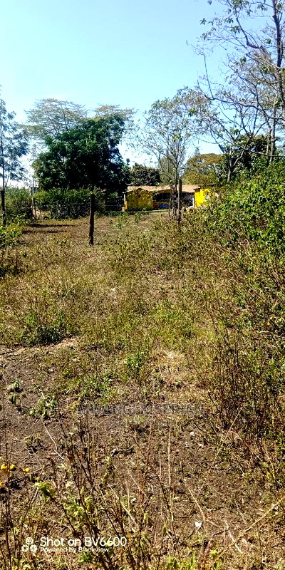 50by100in Kiserian St Patrick's Near Elima School - Image 6