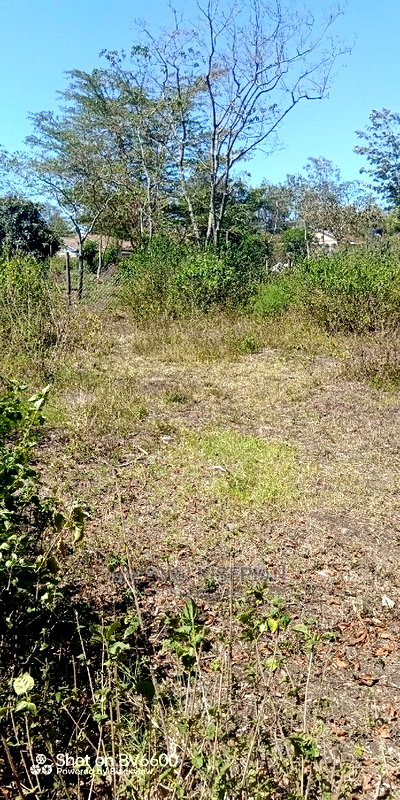 50by100in Kiserian St Patrick's Near Elima School - Image 10