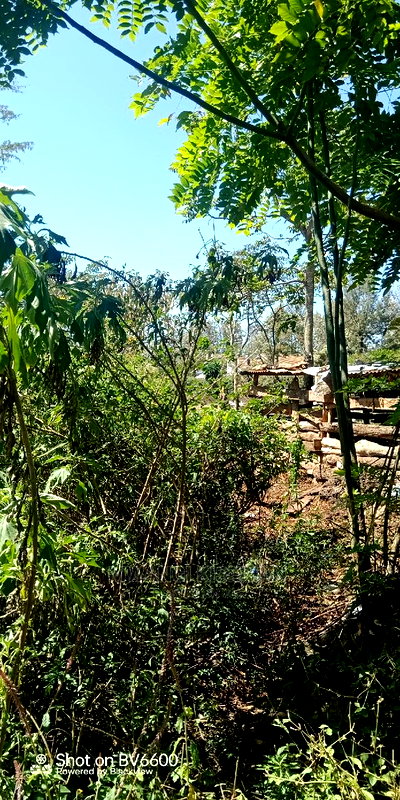 50by100in Kiserian St Patrick's Near Elima School - Image 17