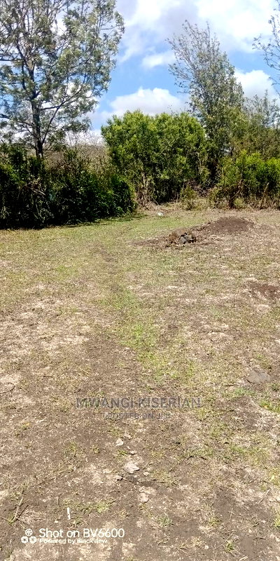 50by100in Kiserian St Patrick's Near Elima School - Image 2