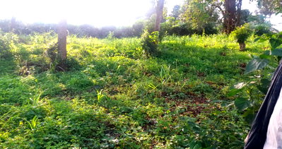 0.3 Acre Garden Plot with Parking - Wangige