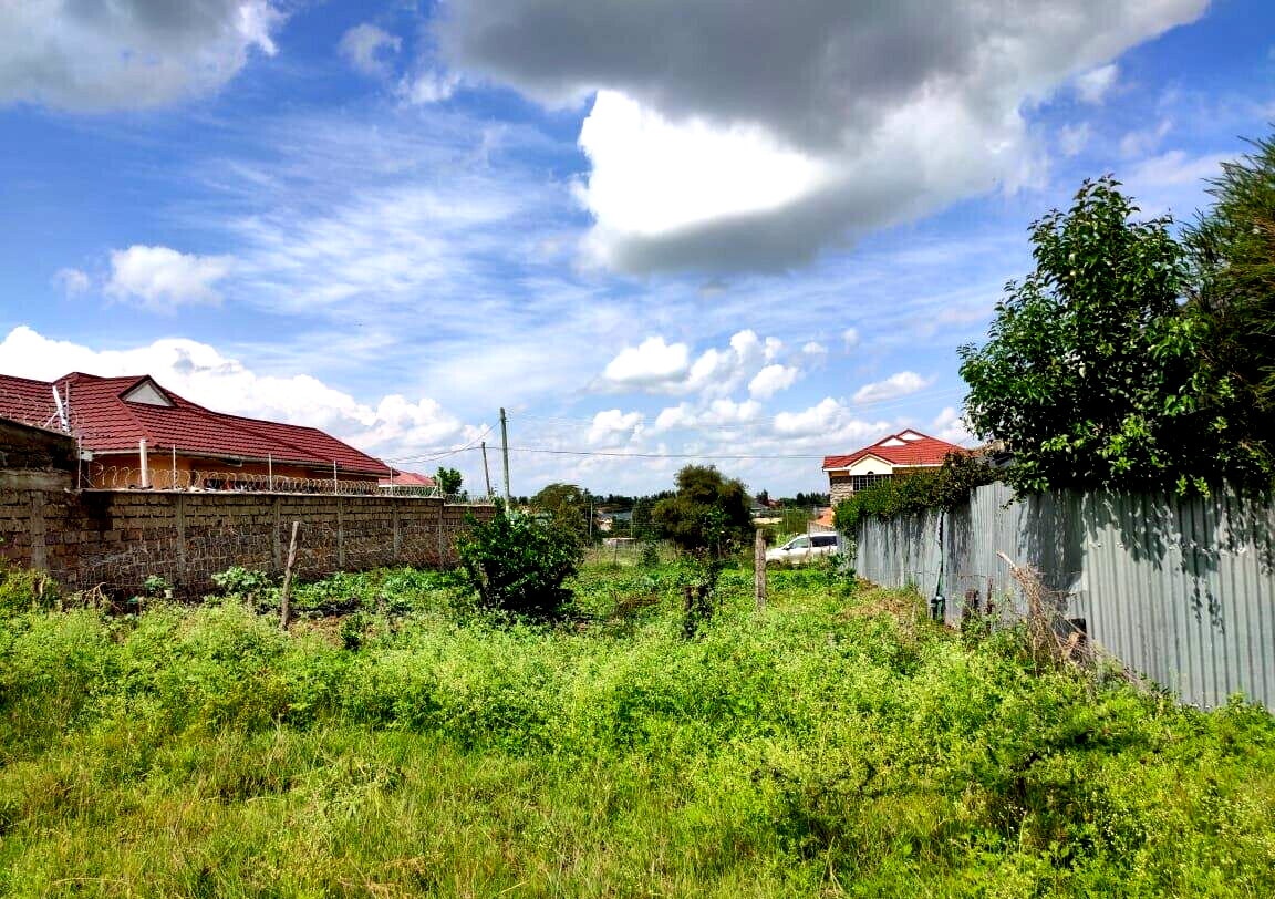 1/8 Acre Garden Plot with Parking