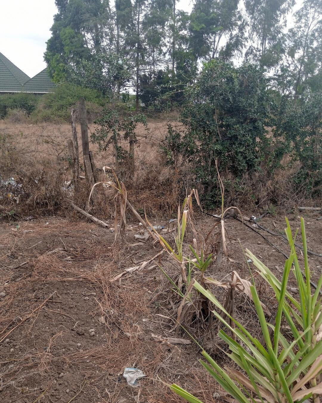 1/8 Acre Garden Plot with Parking
