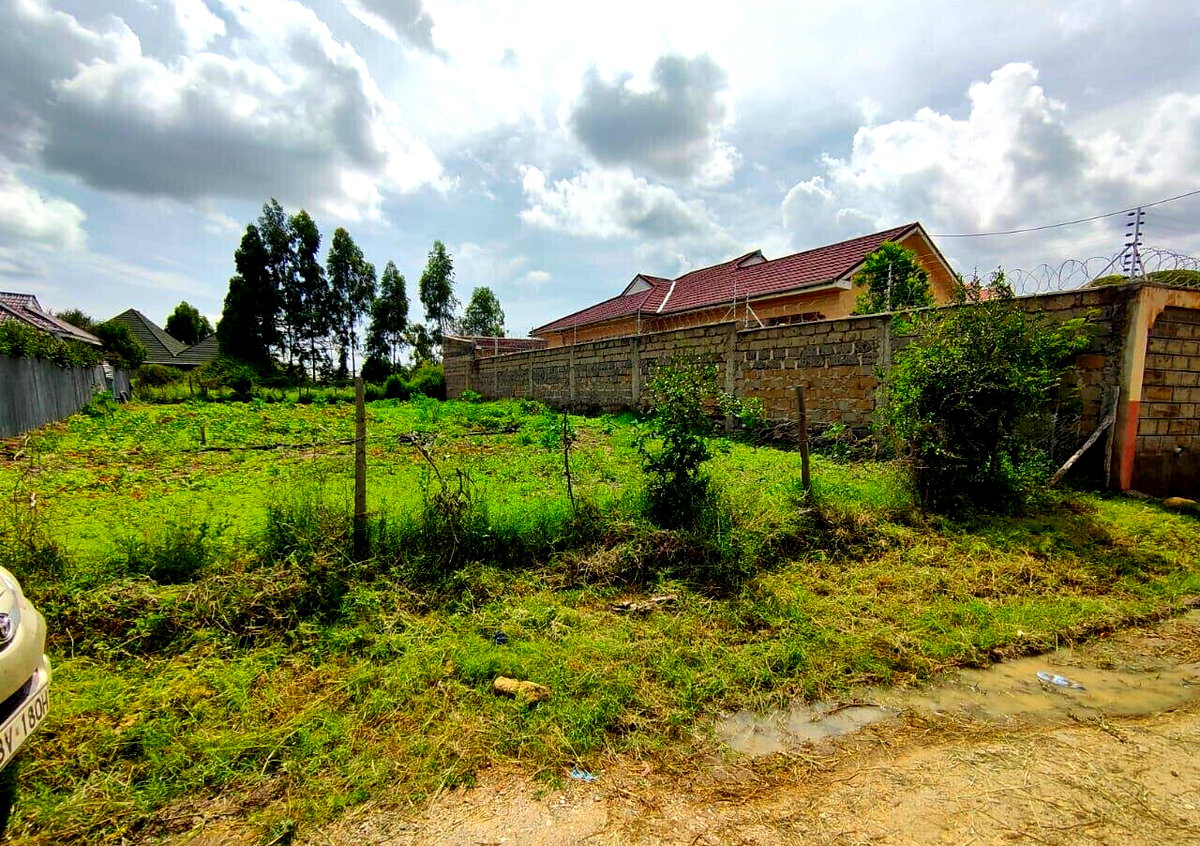 1/8 Acre Garden Plot with Parking