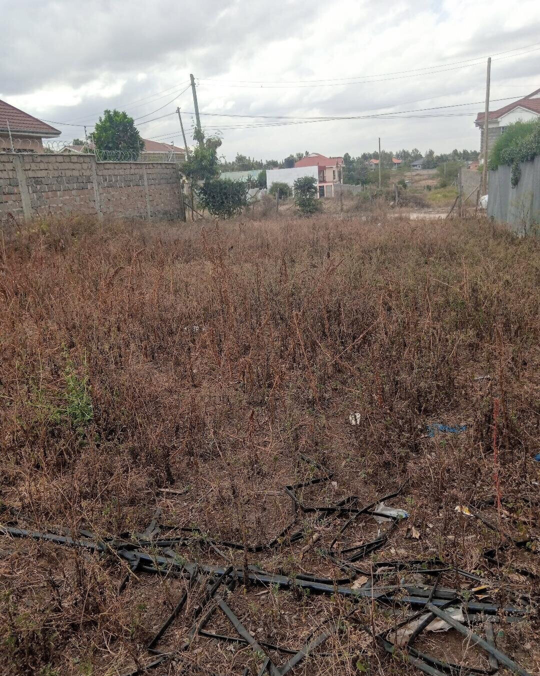 1/8 Acre Garden Plot with Parking