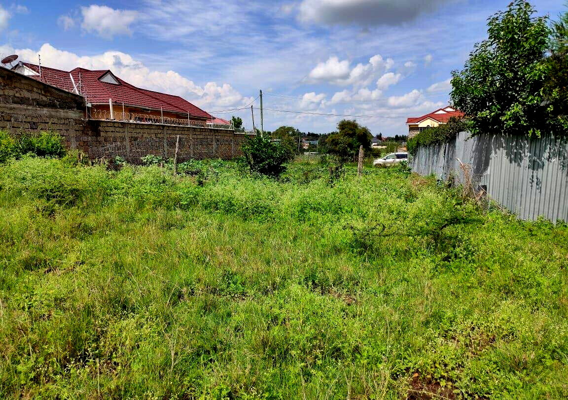1/8 Acre Garden Plot with Parking