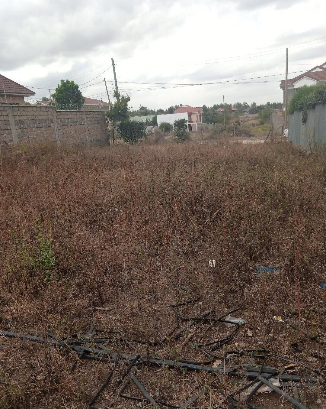 1/8 Acre Garden Plot with Parking
