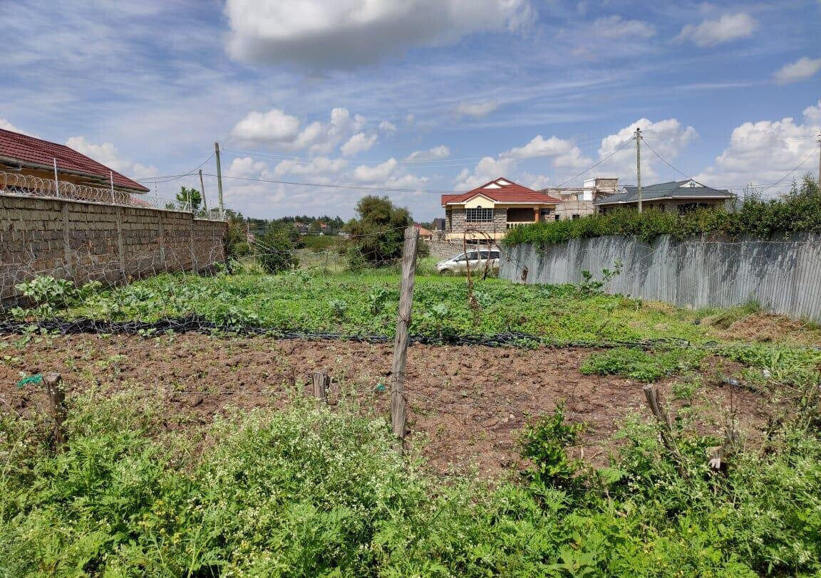 1/8 Acre Garden Plot with Parking