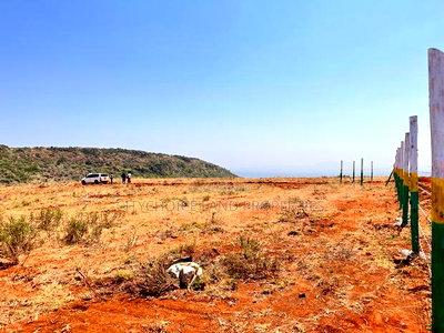 New 50x100ft Project Alert - Nachu Kikuyu - Image 3