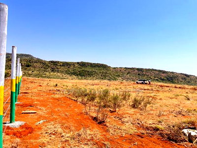 New 50x100ft Project Alert - Nachu Kikuyu - Image 1