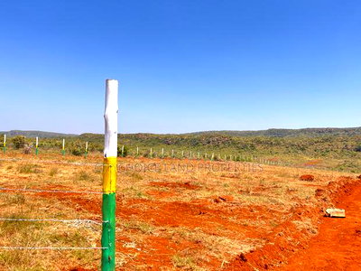 New 50x100ft Project Alert - Nachu Kikuyu - Image 2