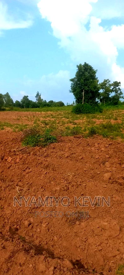 Gem Apuoche - Image 4