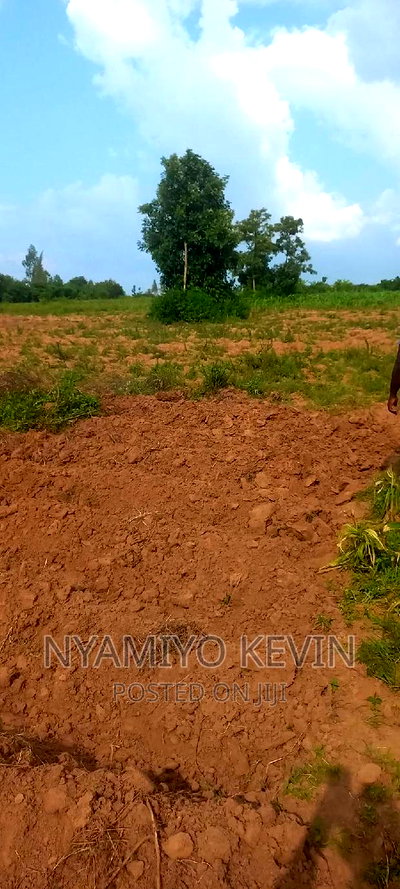 Gem Apuoche - Image 3